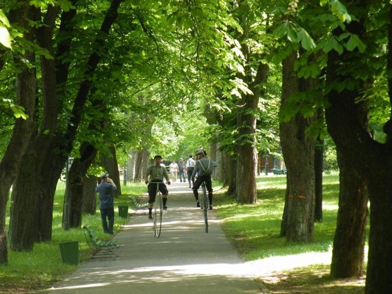 Osrodek Uzdrowiskowy Beskid 호텔 Wysowa-Zdrój 외부 사진